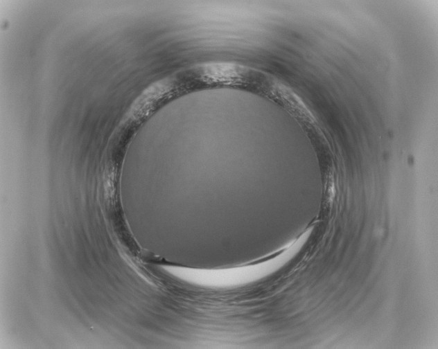 X0000087700408200705251738
