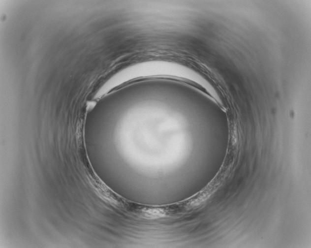 X0000087700409200705251738