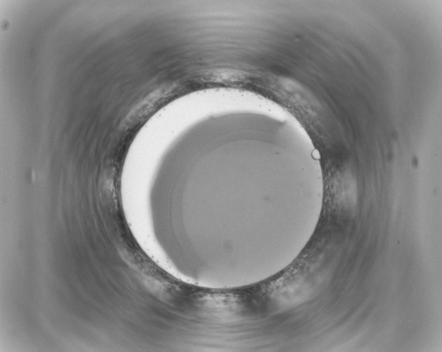 X0000087700415200705251738