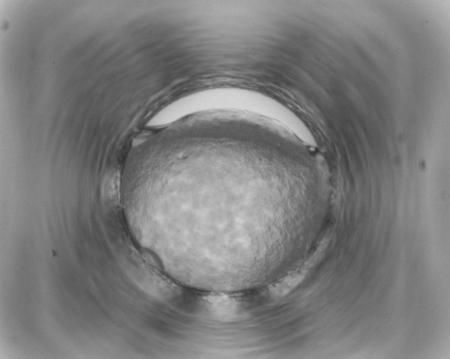 X0000087700425200705251738