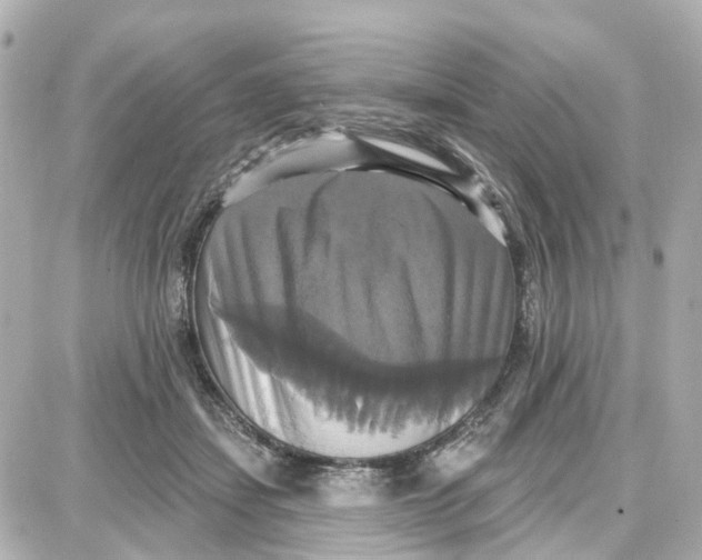 X0000087700459200705251738