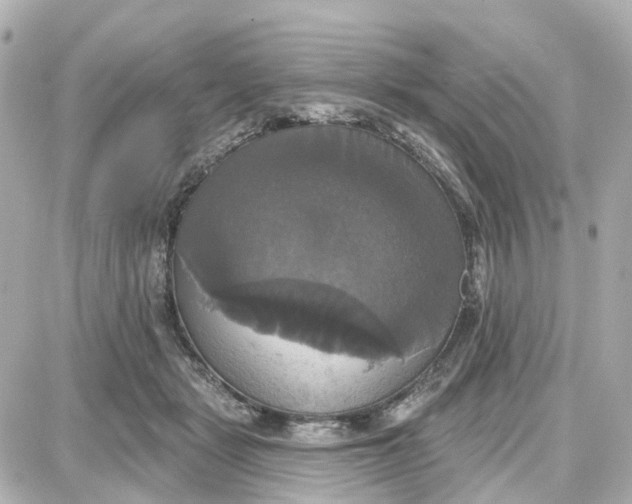 X0000087700461200705251738