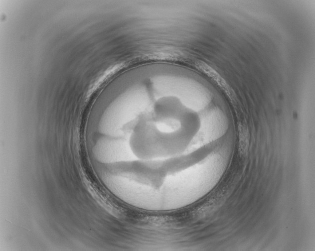 X0000087700482200705251737
