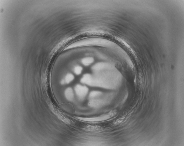 X0000087700487200705251737