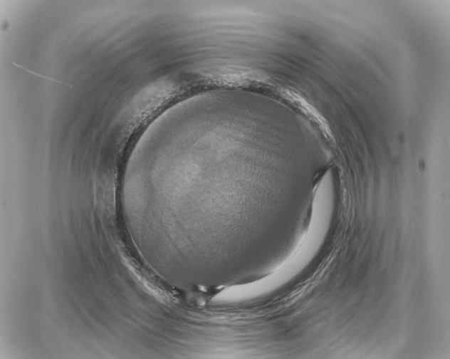 X0000087700493200705251737