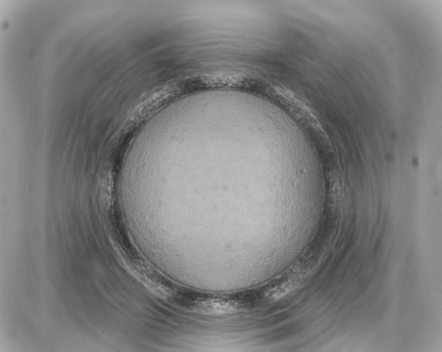 X0000087700498200705251737