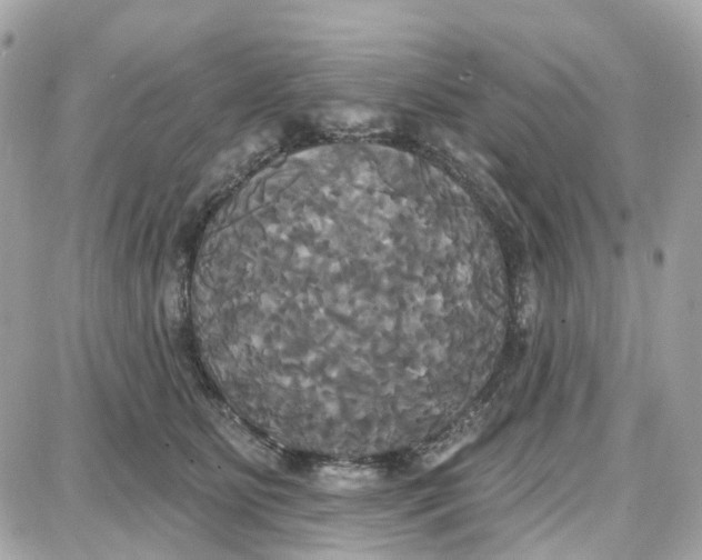 X0000087700515200705251737