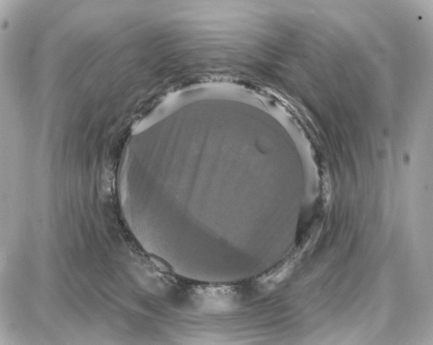 X0000087700517200705251737