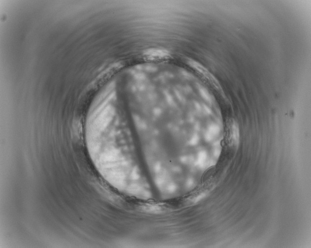 X0000087700523200705251737