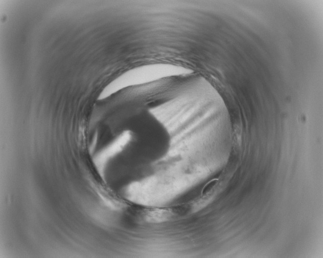 X0000087700527200705251736