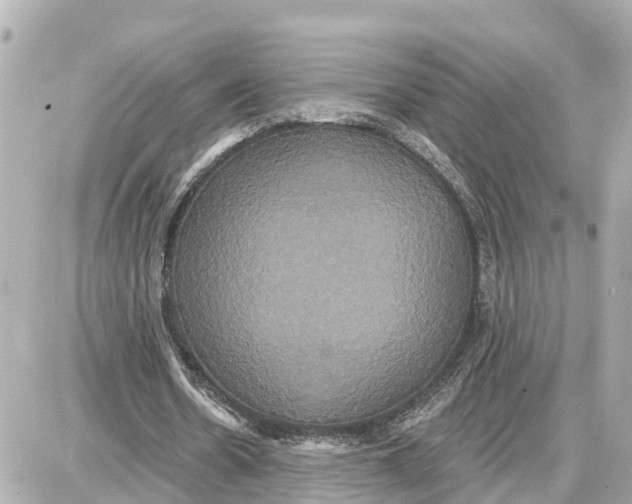 X0000087700530200705251736