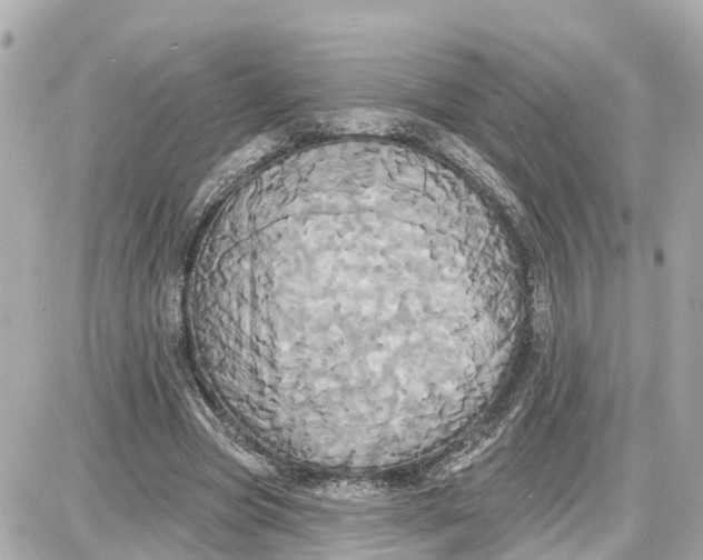 X0000087700537200705251736