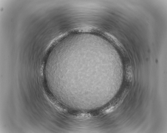 X0000087700543200705251736