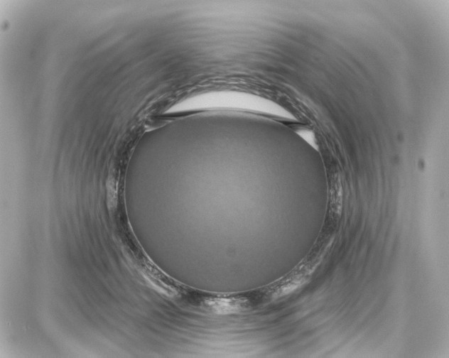 X0000087700558200705251736