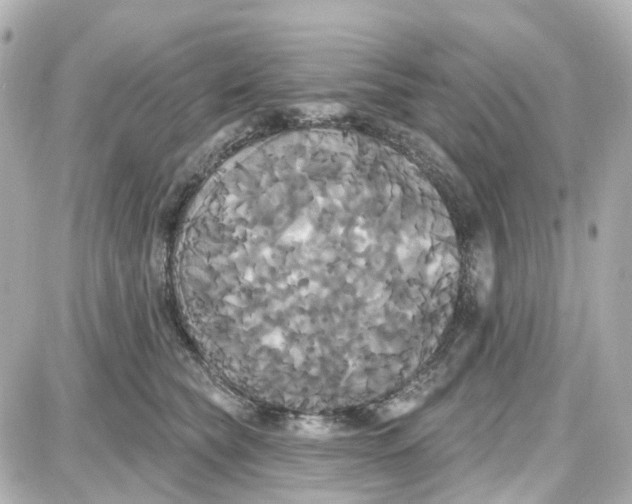 X0000087700565200705251736