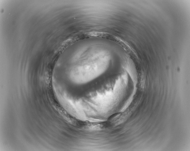 X0000087700569200705251736
