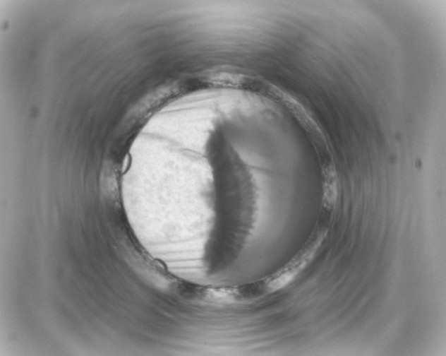 X0000087700573200705251736