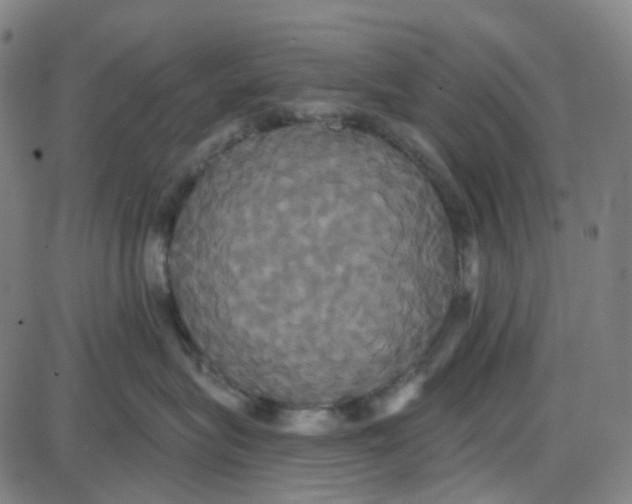 X0000087700575200705251736