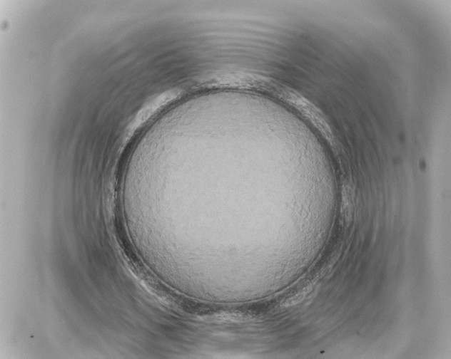 X0000087700578200705251736