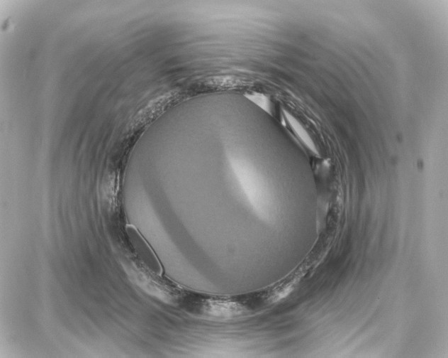 X0000087700605200705251735