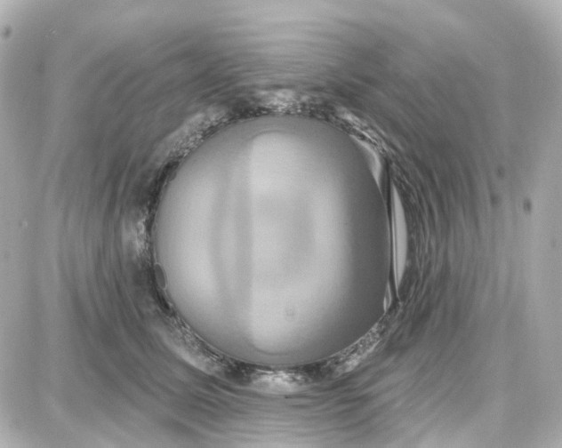 X0000087700611200705251735