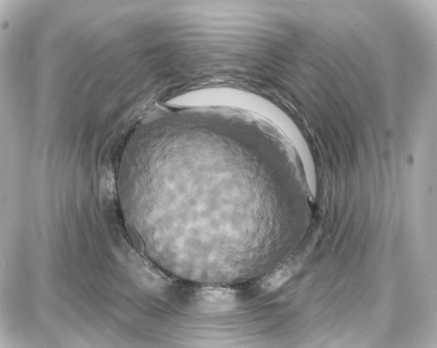 X0000087700617200705251735