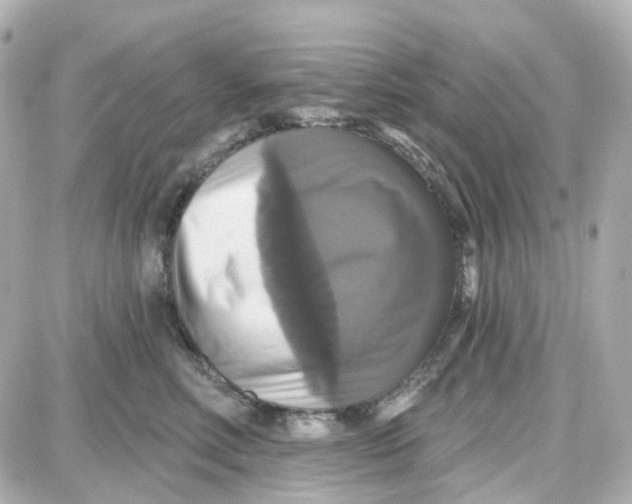 X0000087700618200705251735