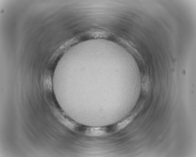 X0000087700622200705251735
