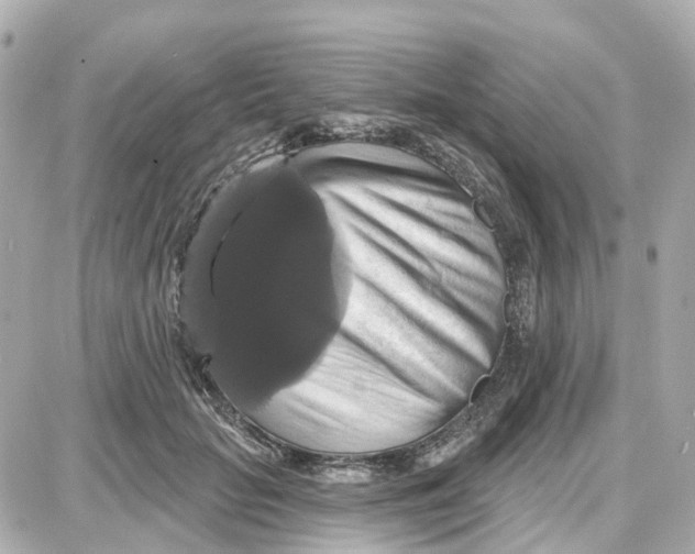 X0000087700653200705251735