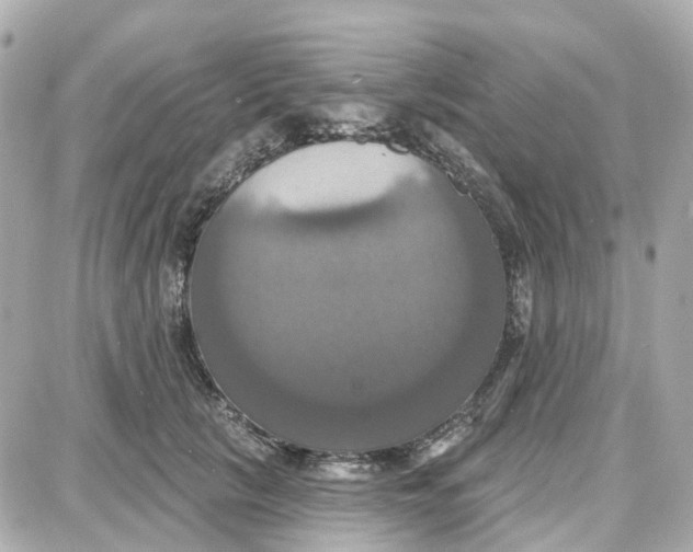 X0000087700657200705251735