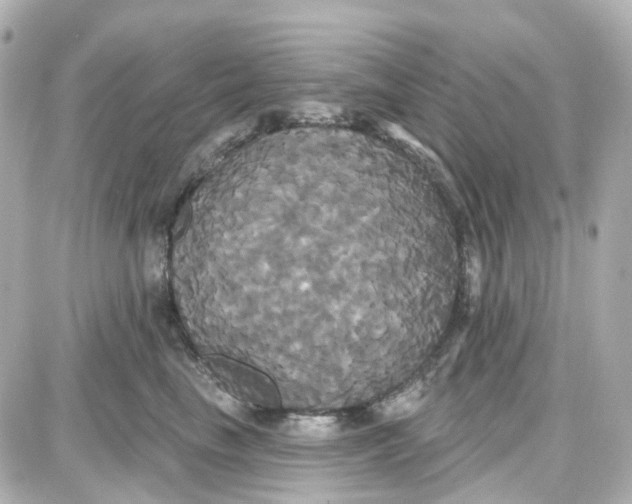 X0000087700665200705251735