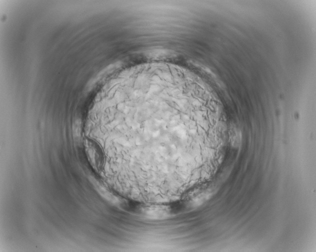 X0000087700670200705251735