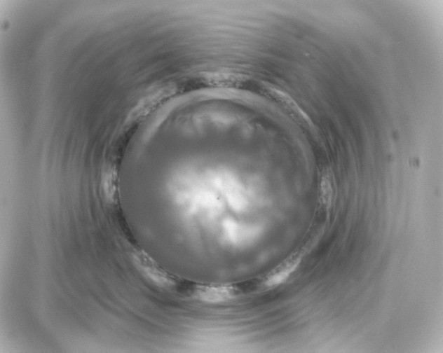 X0000087700671200705251735