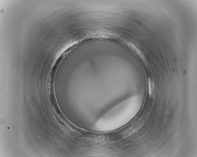 X0000087700675200705251734