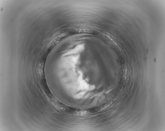 X0000087700695200705251734