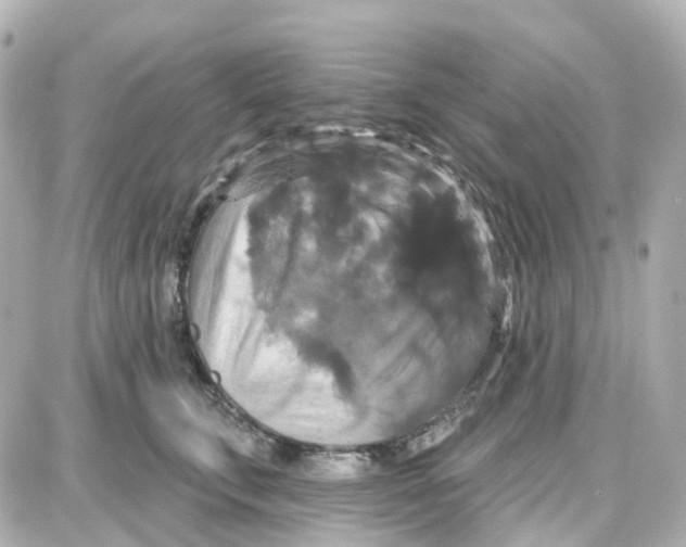 X0000087700711200705251733
