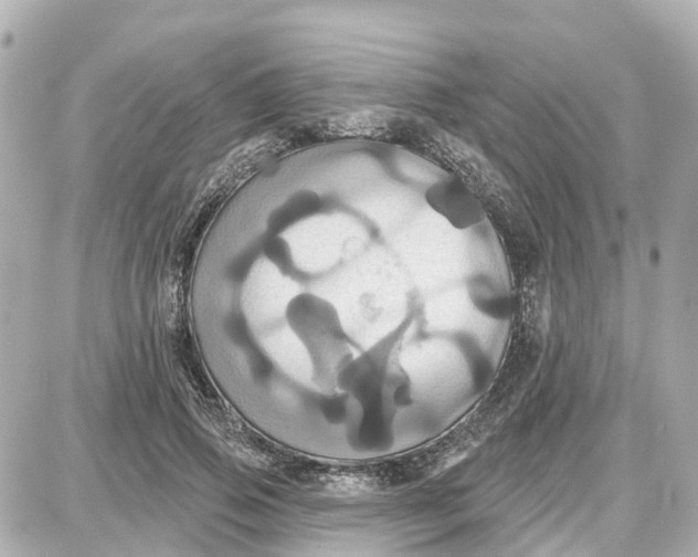 X0000087700741200705251733
