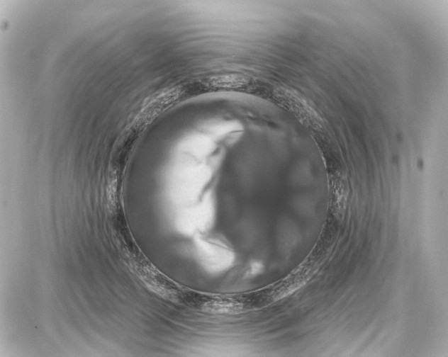 X0000087700745200705251733
