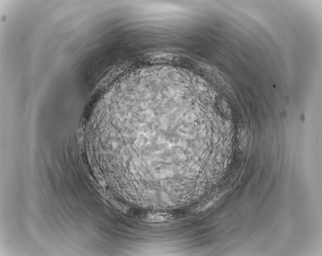 X0000087700753200705251733