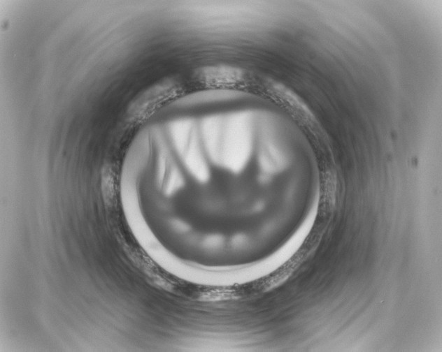 X0000087700761200705251733