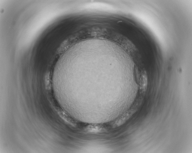 X0000087700764200705251733