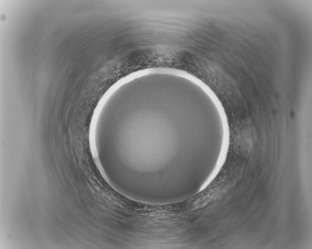 X0000087700769200705251733