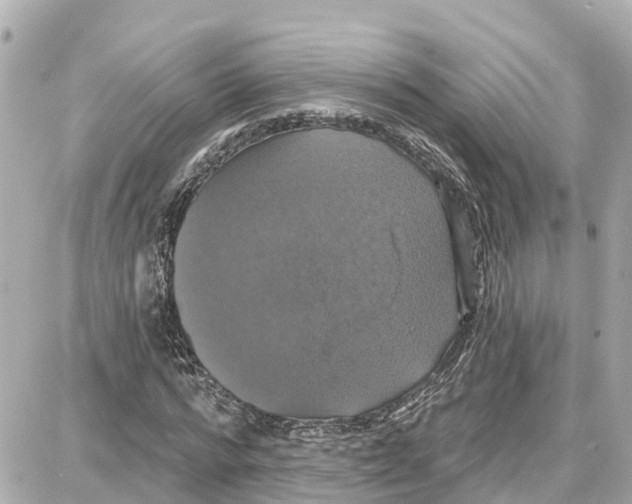 X0000087700776200705251732