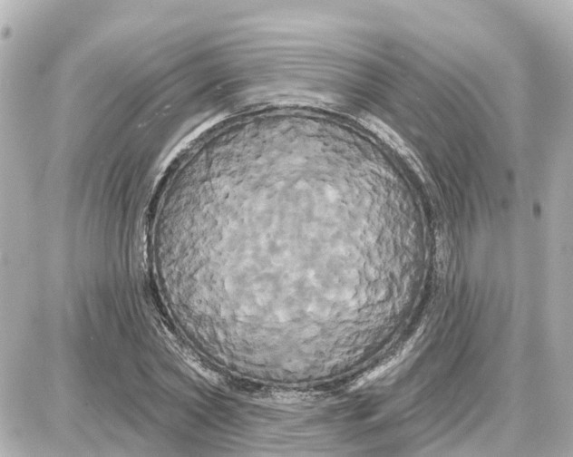 X0000087700782200705251732
