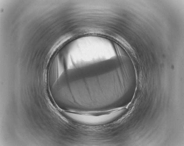 X0000087700790200705251732
