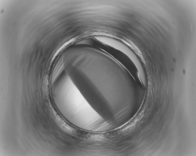 X0000087700798200705251732