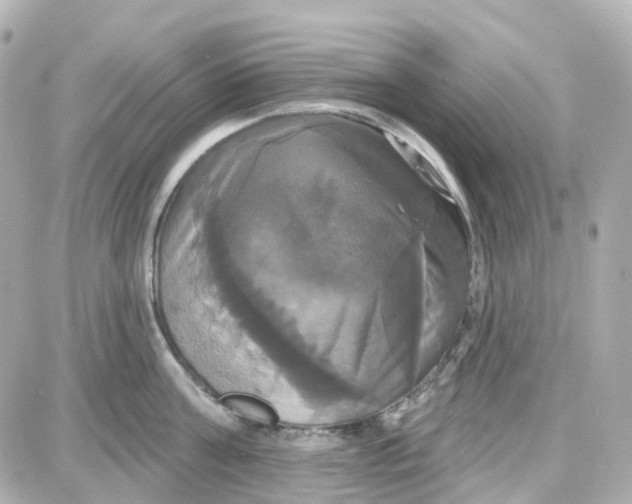 X0000087700811200705251732