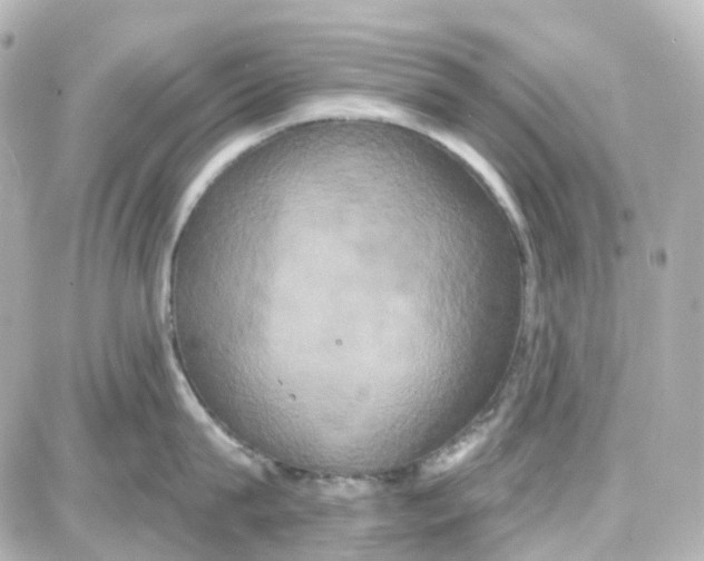 X0000087700815200705251732
