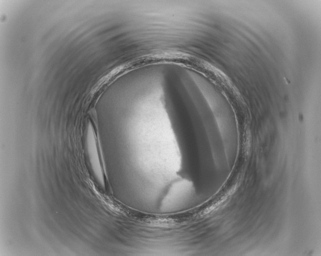 X0000087700833200705251731