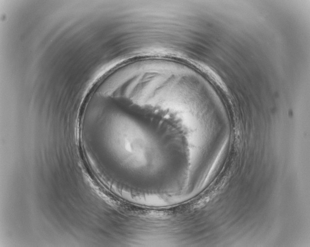 X0000087700839200705251731